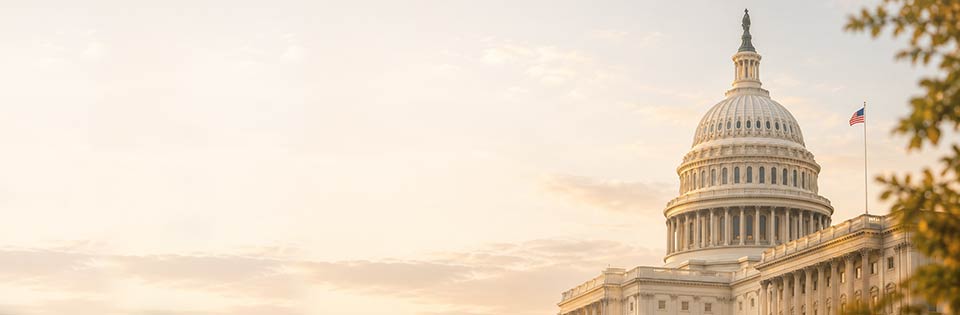 Sub Header Mobile
